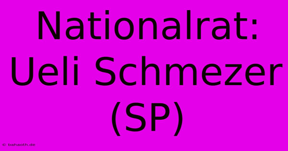 Nationalrat: Ueli Schmezer (SP)