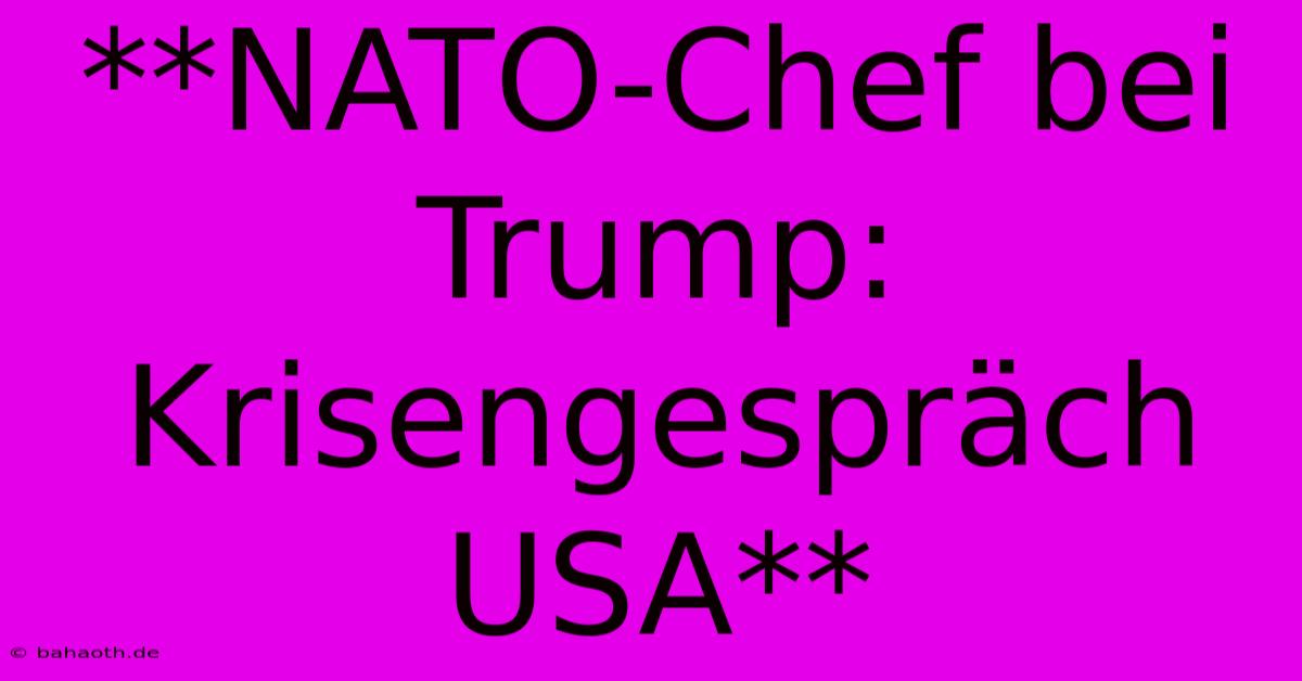 **NATO-Chef Bei Trump: Krisengespräch USA**