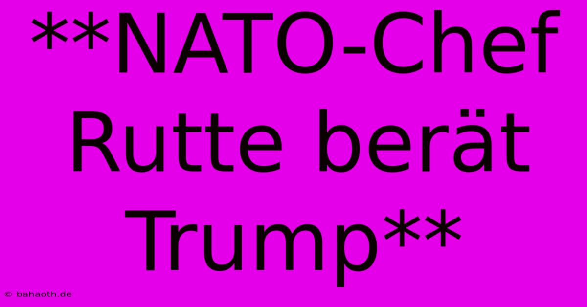 **NATO-Chef Rutte Berät Trump**