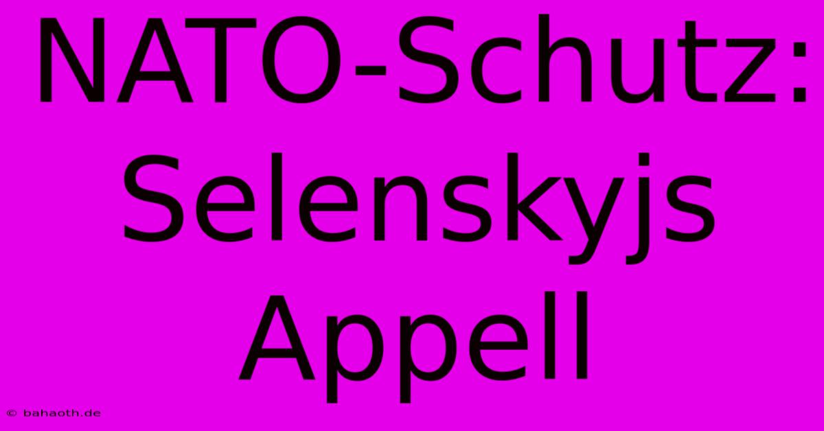 NATO-Schutz: Selenskyjs Appell