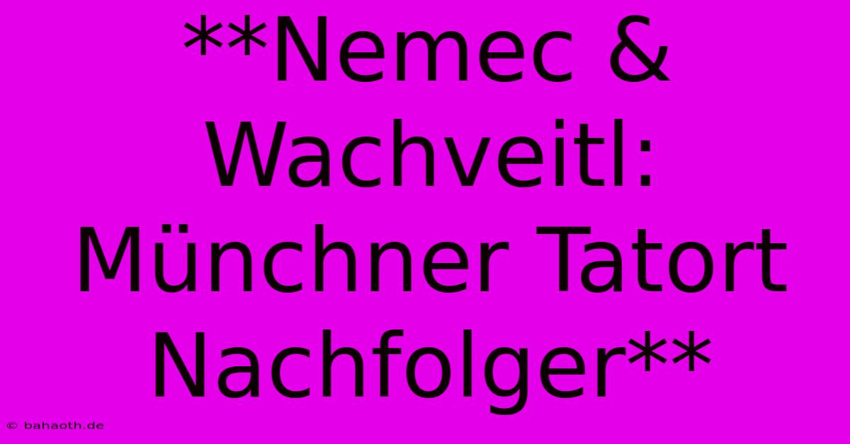 **Nemec & Wachveitl: Münchner Tatort Nachfolger**