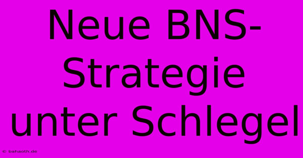 Neue BNS-Strategie Unter Schlegel