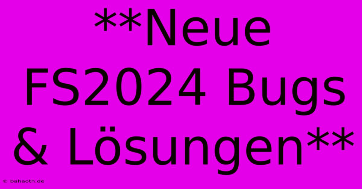 **Neue FS2024 Bugs & Lösungen**