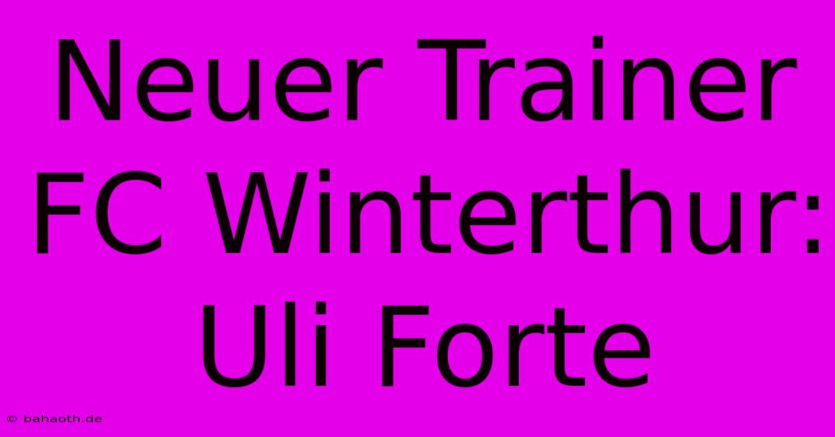 Neuer Trainer FC Winterthur: Uli Forte