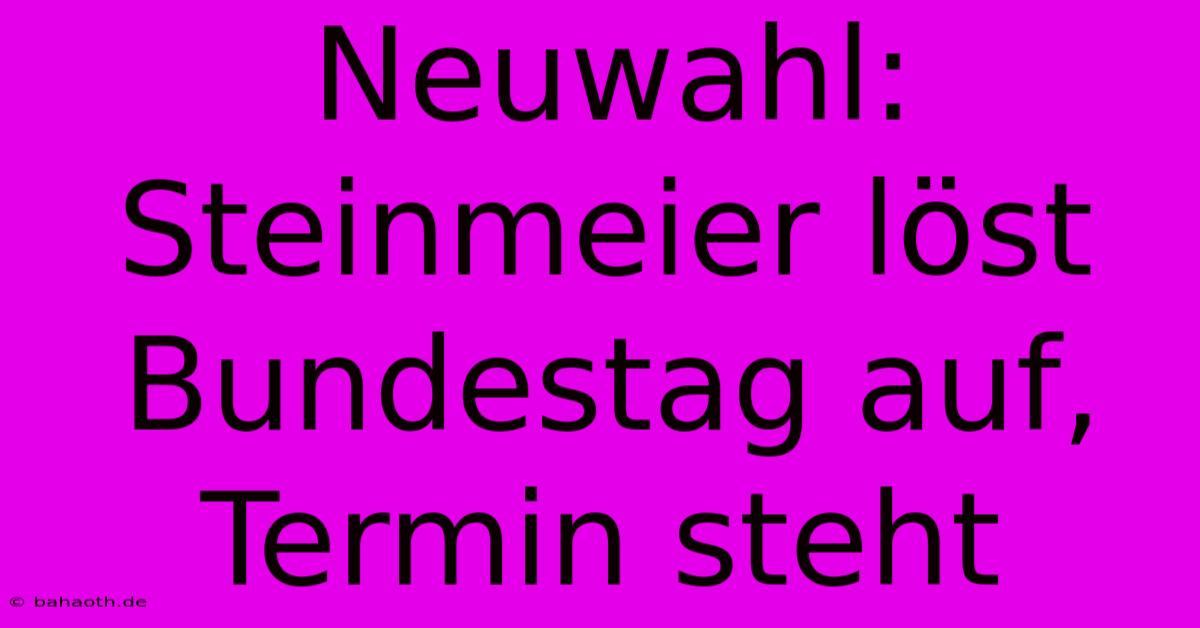 Neuwahl: Steinmeier Löst Bundestag Auf, Termin Steht