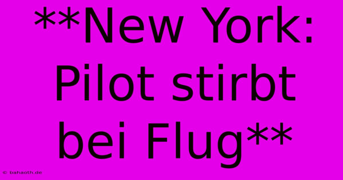 **New York: Pilot Stirbt Bei Flug**