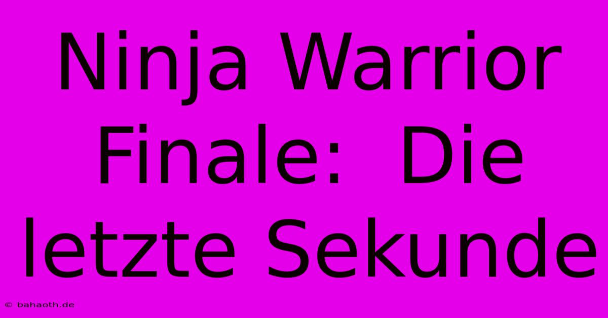 Ninja Warrior Finale:  Die Letzte Sekunde