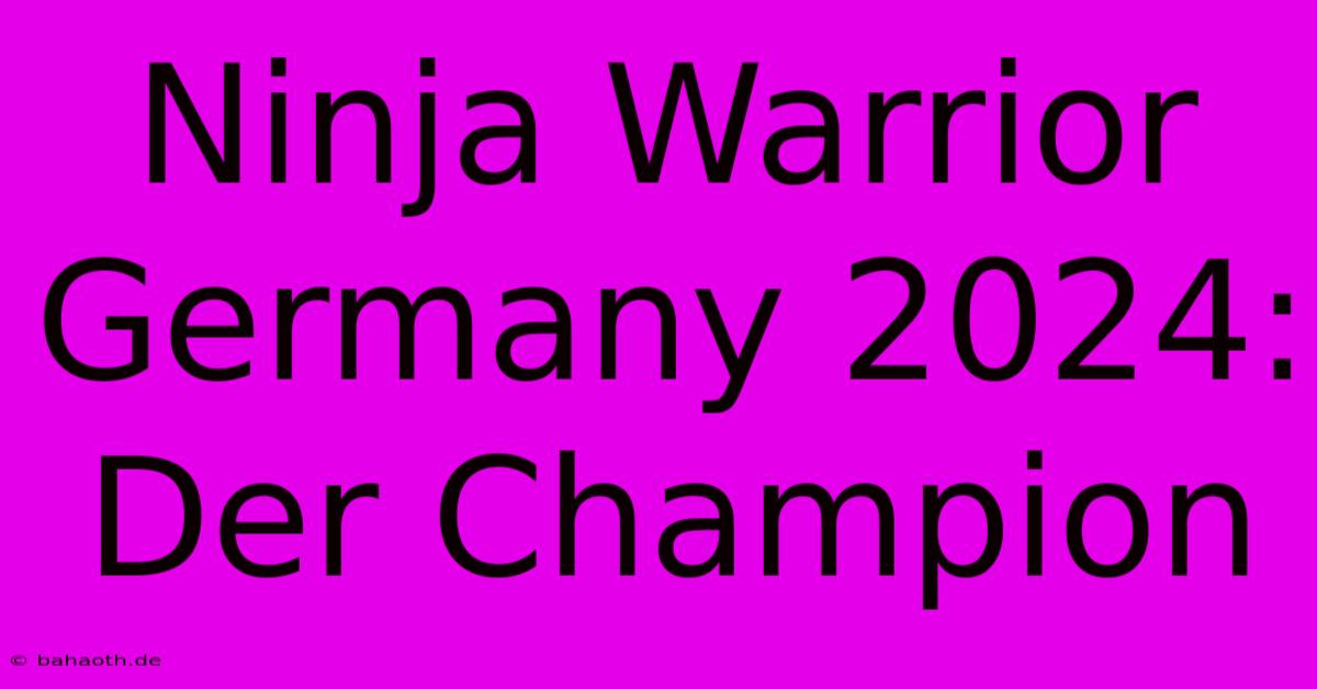 Ninja Warrior Germany 2024:  Der Champion