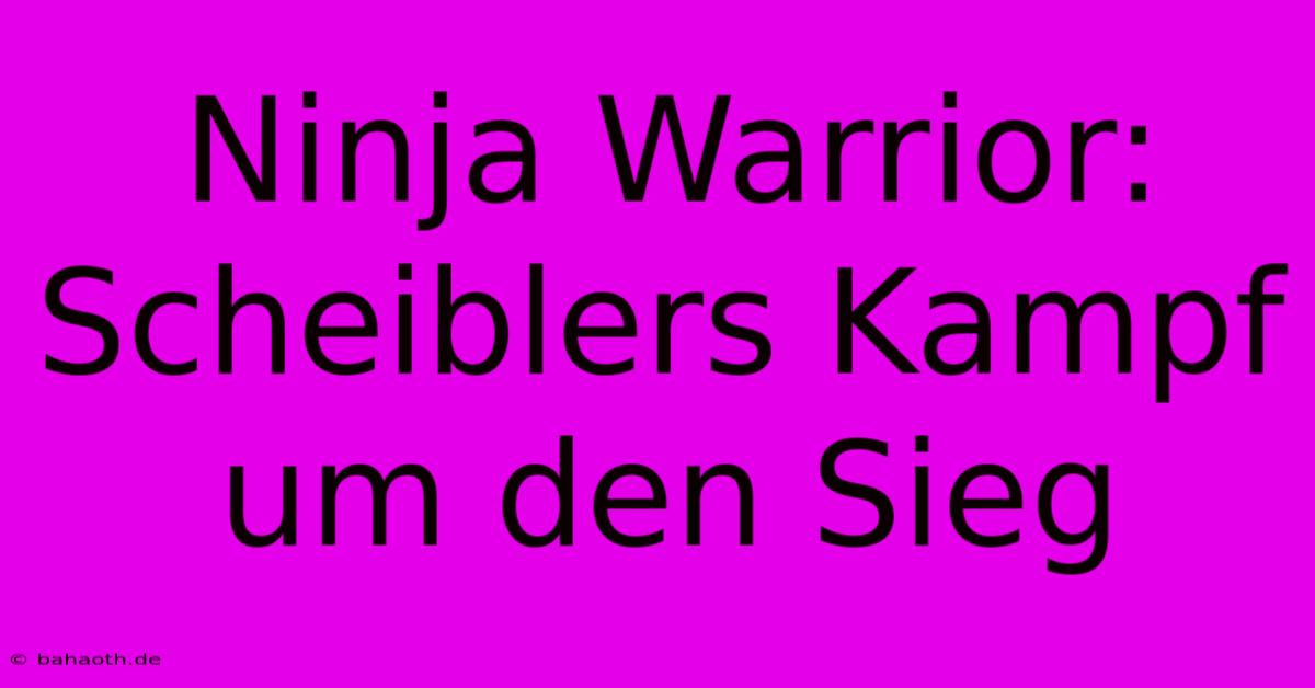 Ninja Warrior: Scheiblers Kampf Um Den Sieg