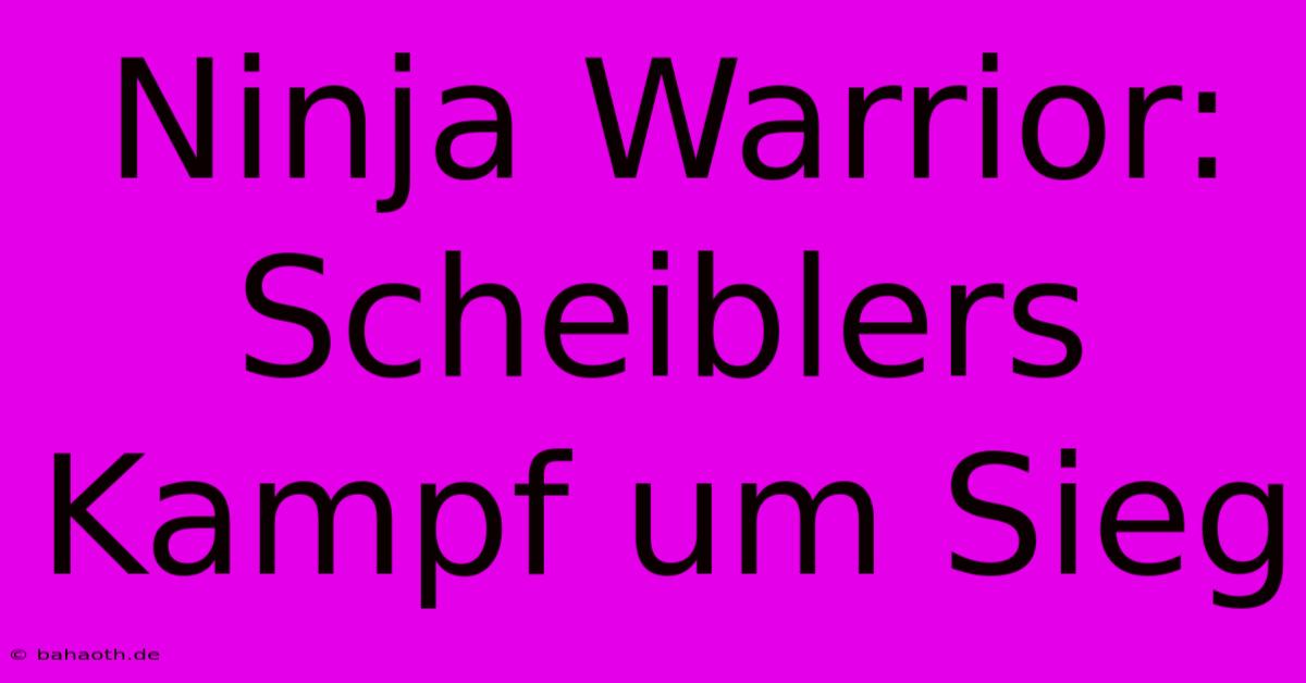 Ninja Warrior: Scheiblers Kampf Um Sieg