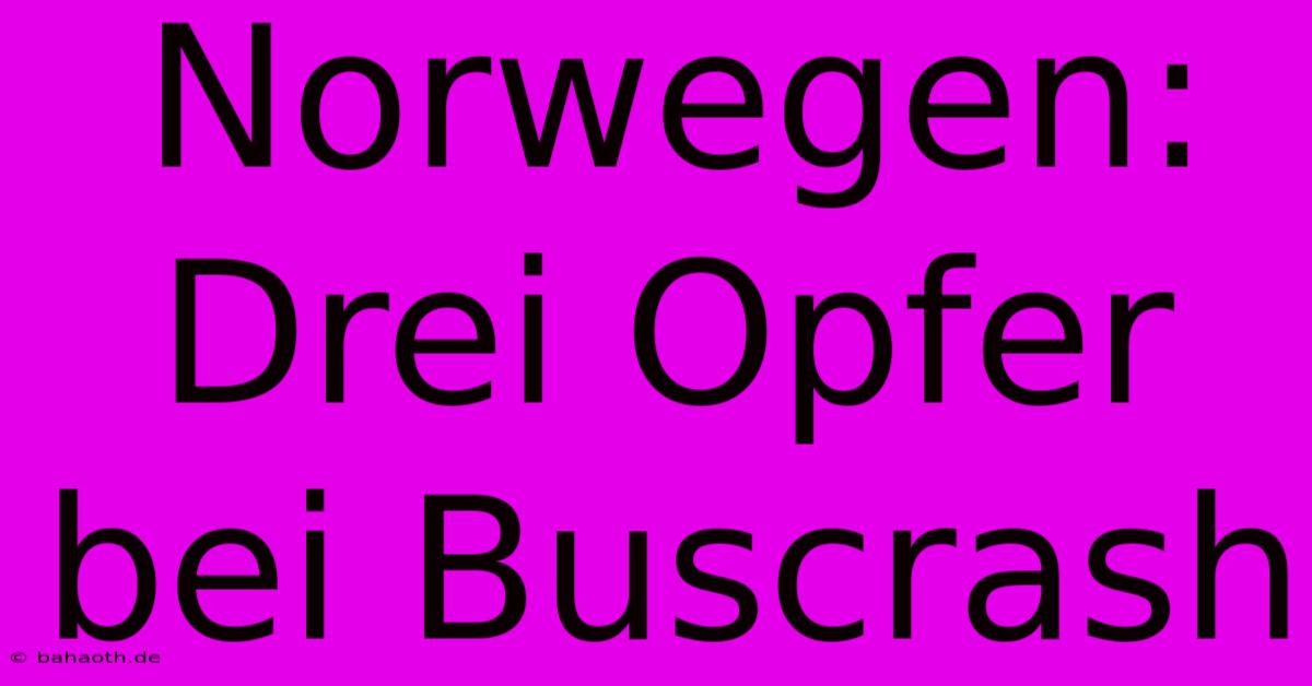 Norwegen: Drei Opfer Bei Buscrash