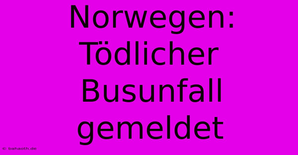 Norwegen: Tödlicher Busunfall Gemeldet