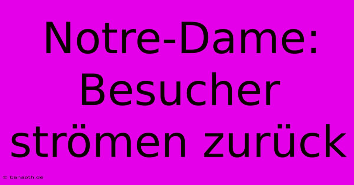 Notre-Dame:  Besucher Strömen Zurück