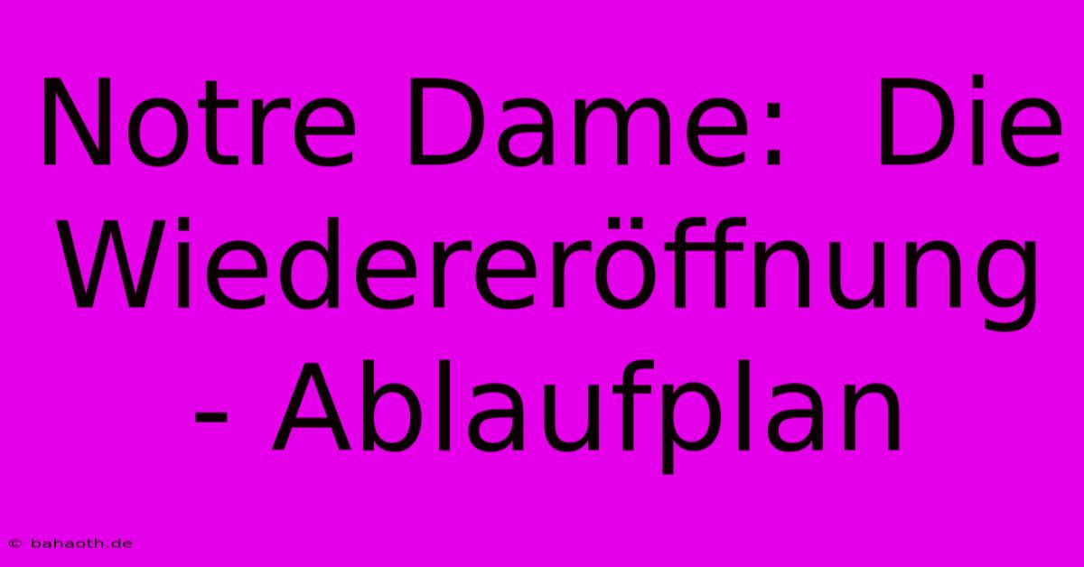 Notre Dame:  Die Wiedereröffnung - Ablaufplan