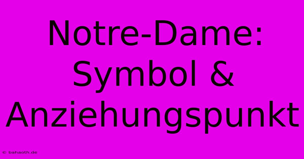 Notre-Dame:  Symbol & Anziehungspunkt