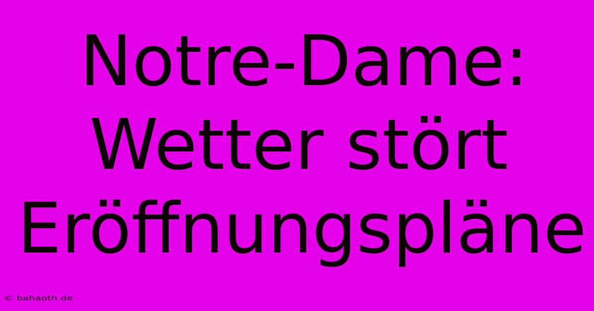 Notre-Dame: Wetter Stört Eröffnungspläne