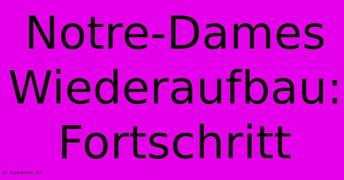 Notre-Dames Wiederaufbau: Fortschritt