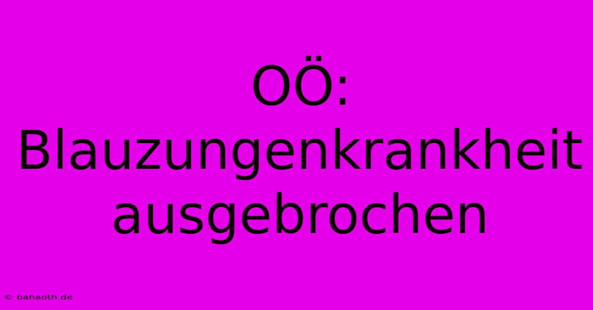 OÖ: Blauzungenkrankheit Ausgebrochen