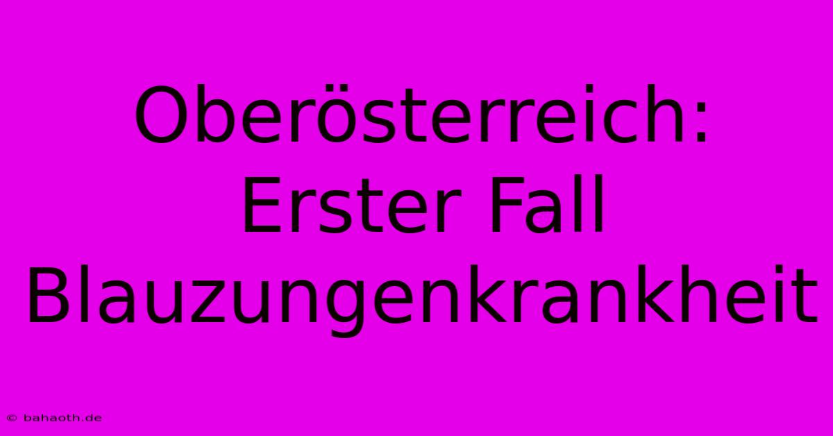 Oberösterreich: Erster Fall Blauzungenkrankheit