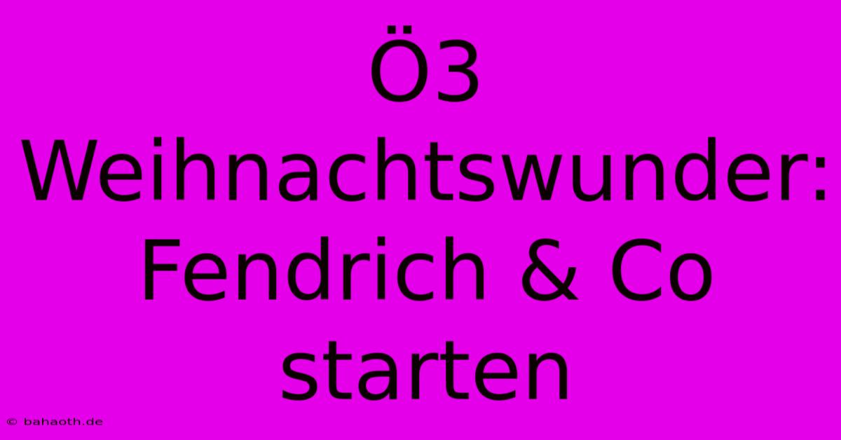 Ö3 Weihnachtswunder: Fendrich & Co Starten