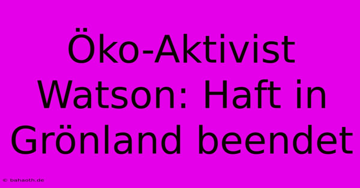 Öko-Aktivist Watson: Haft In Grönland Beendet