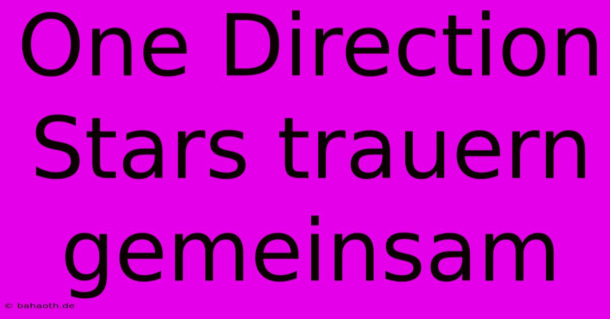 One Direction Stars Trauern Gemeinsam