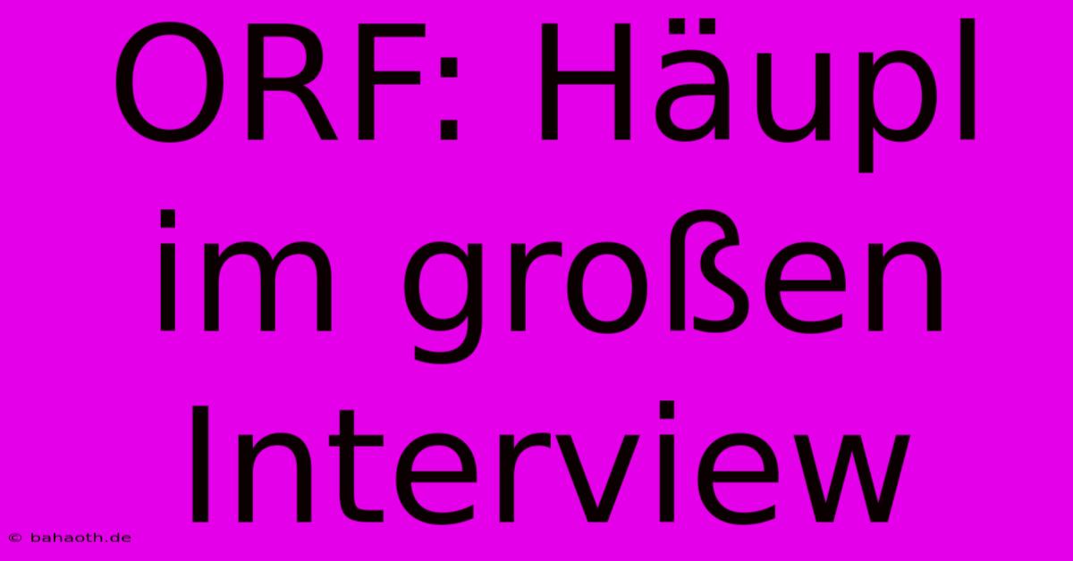 ORF: Häupl Im Großen Interview