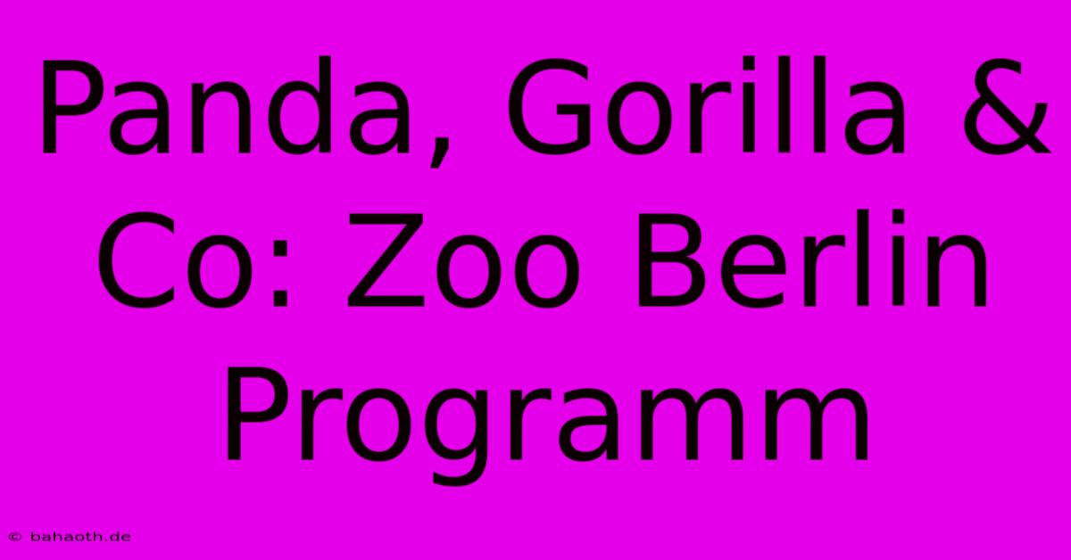 Panda, Gorilla & Co: Zoo Berlin Programm