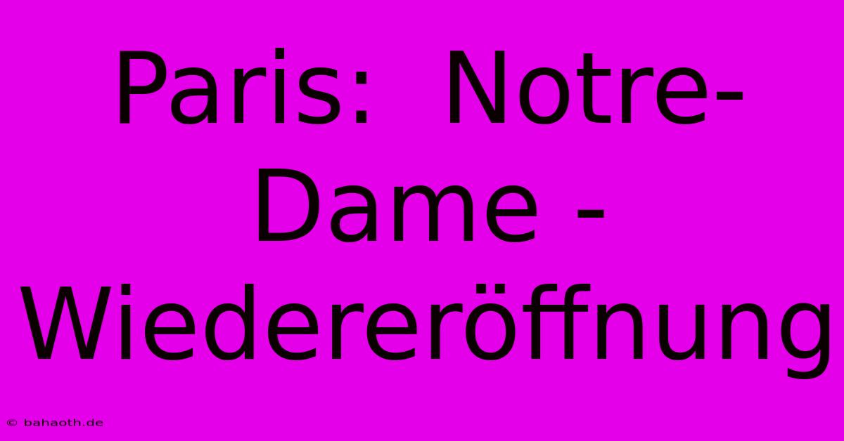 Paris:  Notre-Dame - Wiedereröffnung