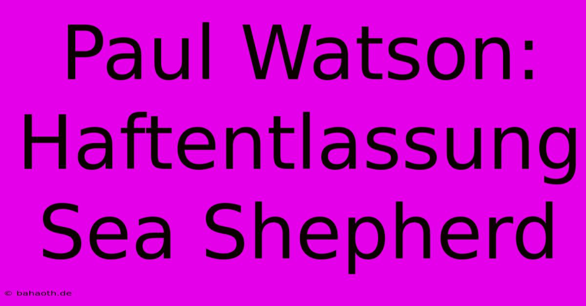 Paul Watson: Haftentlassung Sea Shepherd