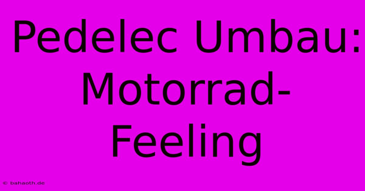 Pedelec Umbau: Motorrad-Feeling