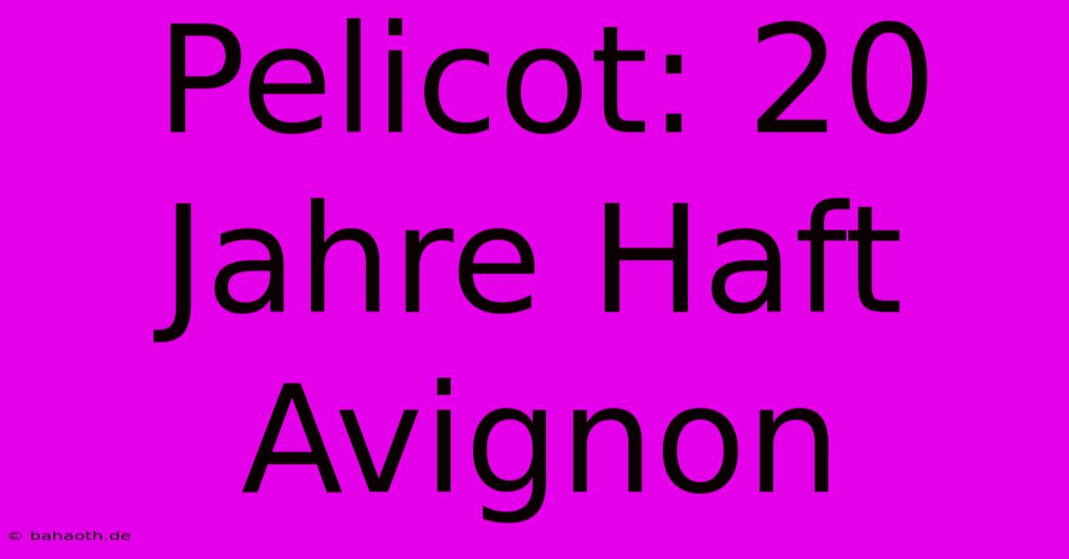 Pelicot: 20 Jahre Haft Avignon