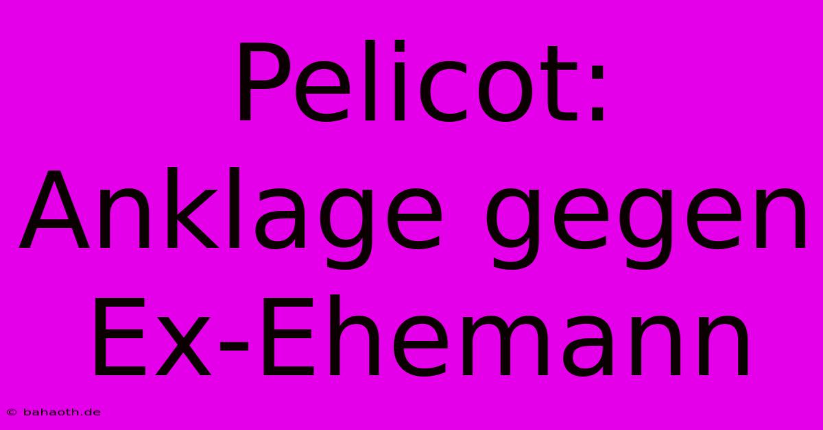 Pelicot: Anklage Gegen Ex-Ehemann