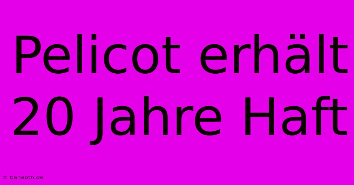 Pelicot Erhält 20 Jahre Haft