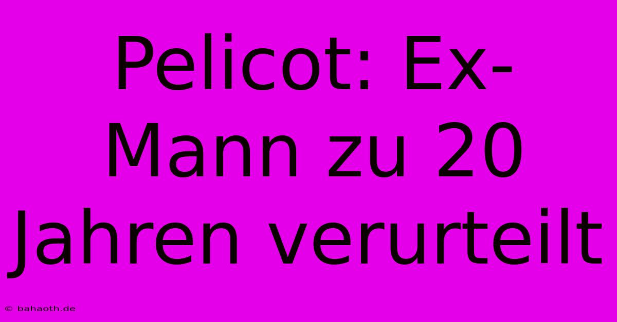 Pelicot: Ex-Mann Zu 20 Jahren Verurteilt