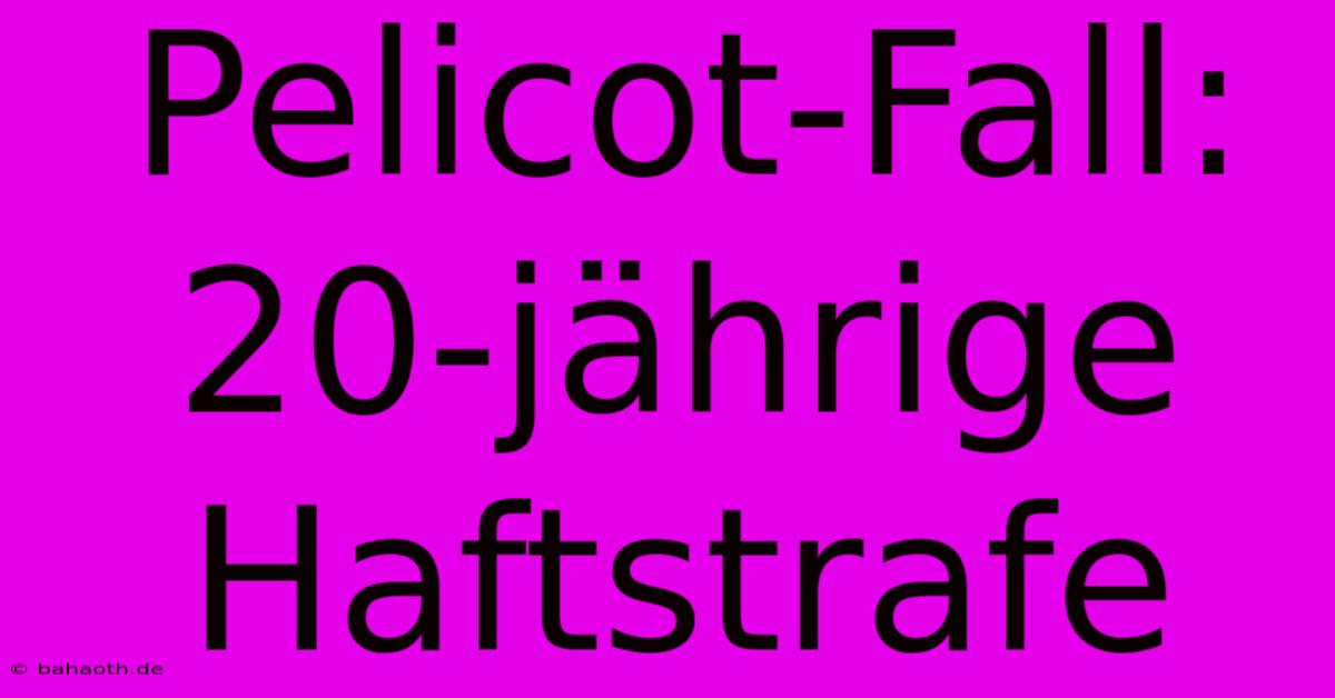 Pelicot-Fall: 20-jährige Haftstrafe