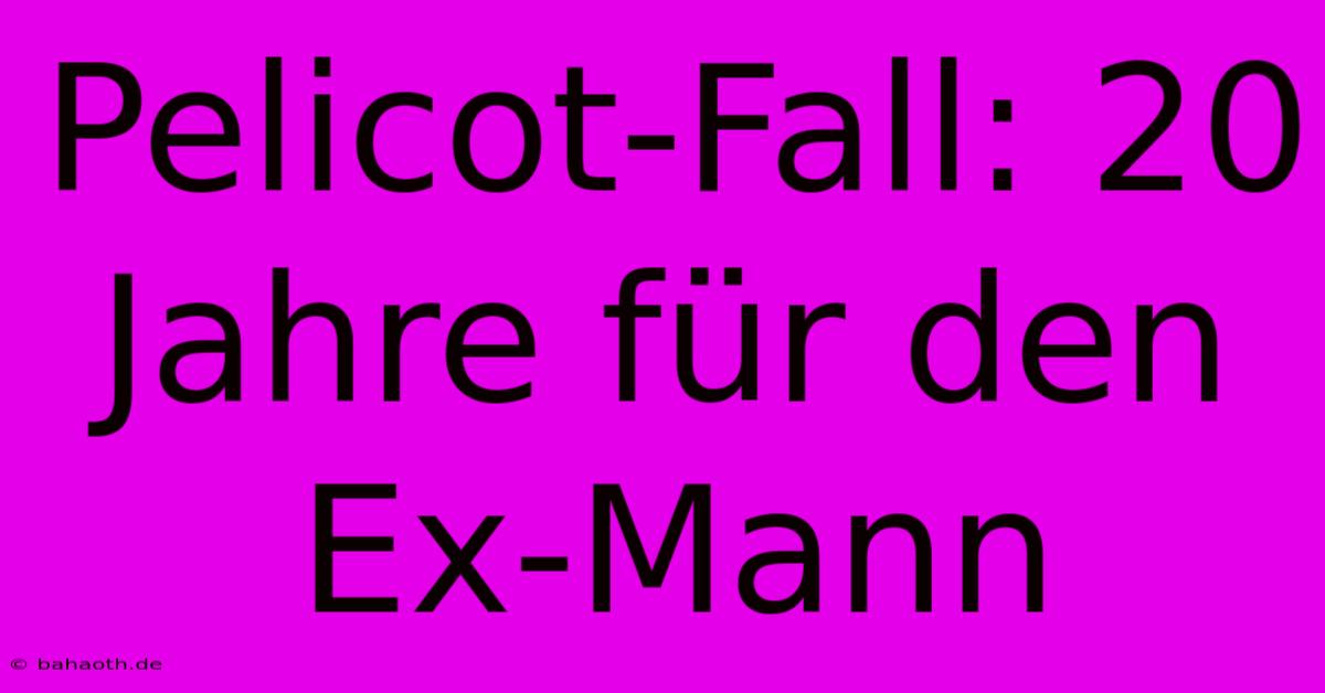 Pelicot-Fall: 20 Jahre Für Den Ex-Mann