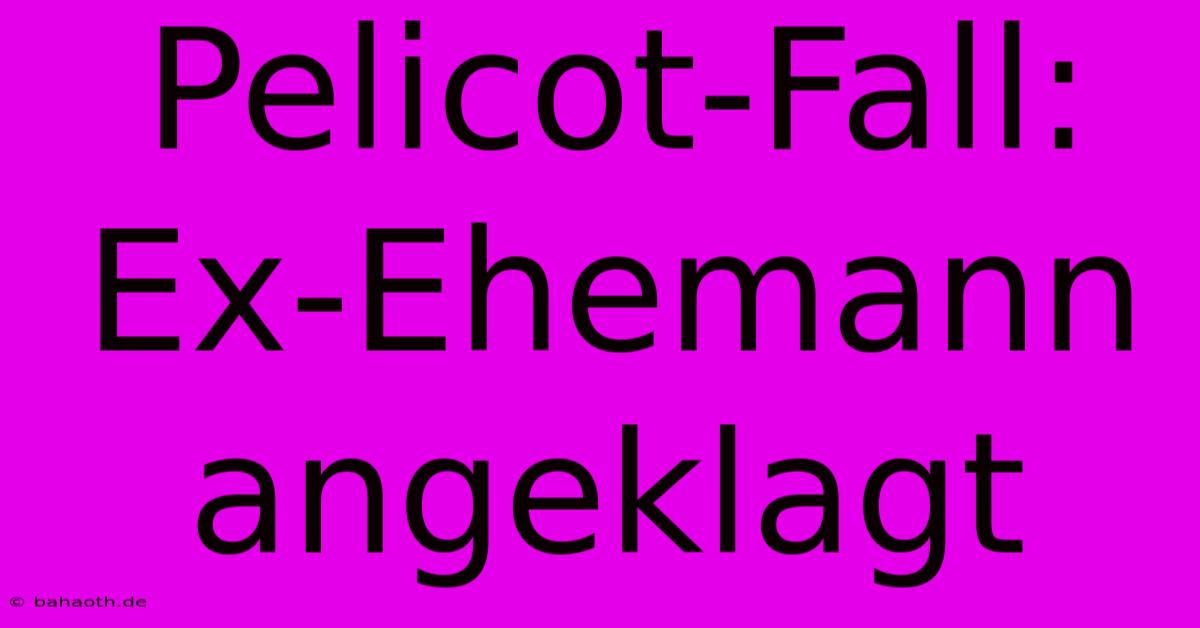 Pelicot-Fall: Ex-Ehemann Angeklagt