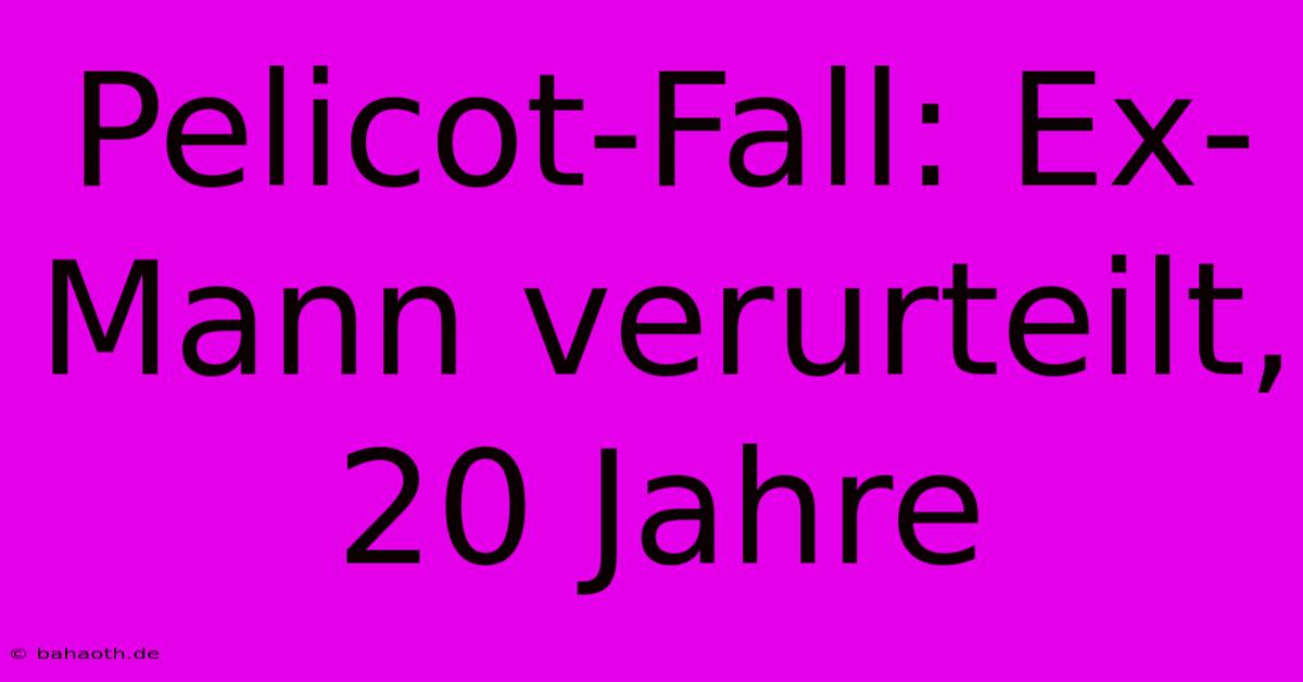 Pelicot-Fall: Ex-Mann Verurteilt, 20 Jahre