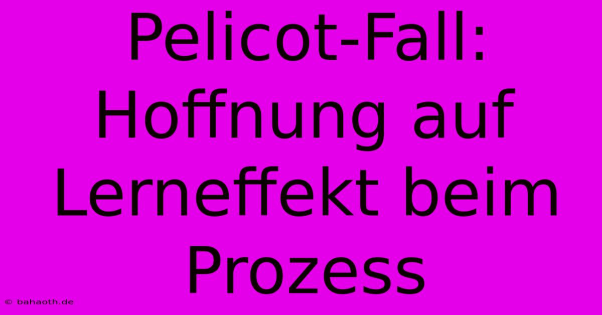 Pelicot-Fall:  Hoffnung Auf Lerneffekt Beim Prozess