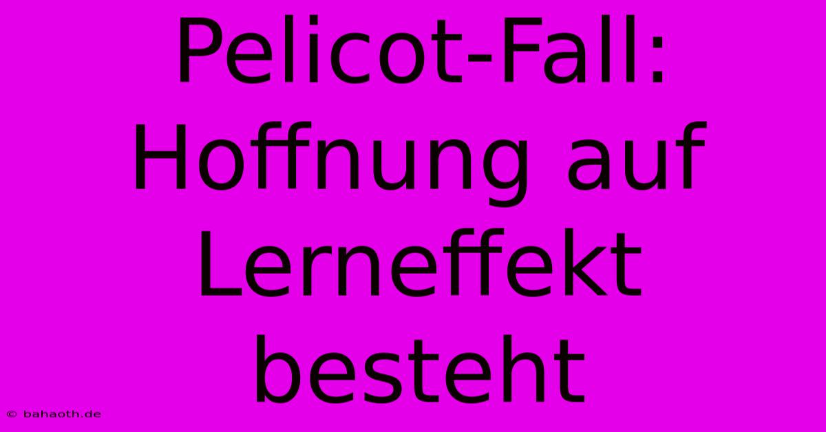 Pelicot-Fall:  Hoffnung Auf Lerneffekt Besteht