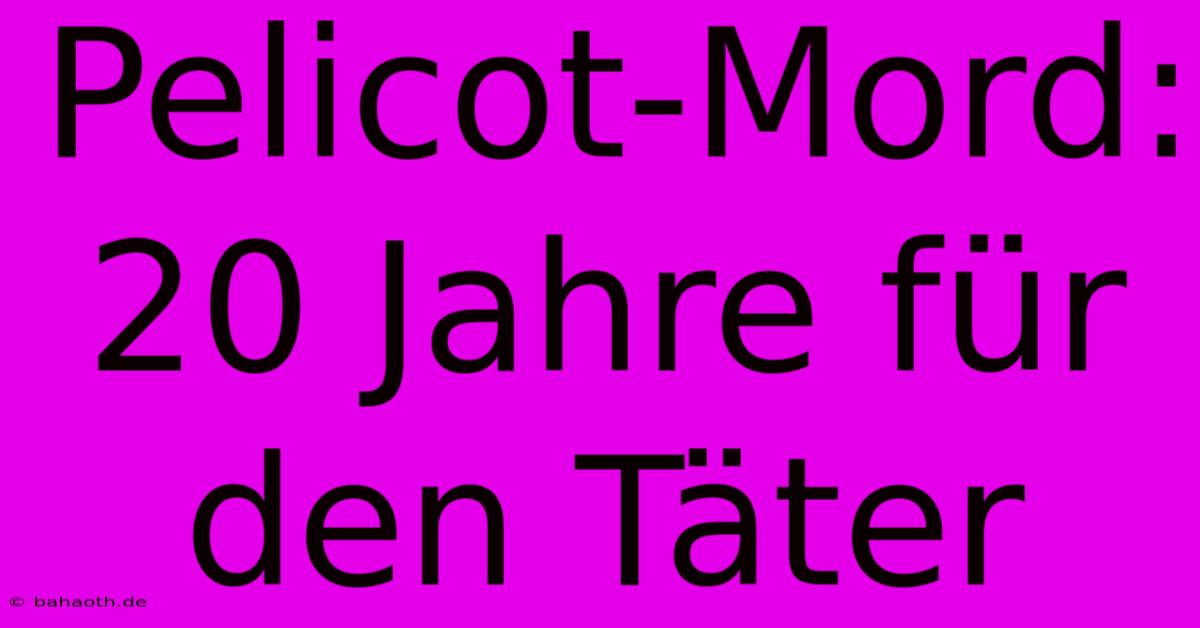 Pelicot-Mord: 20 Jahre Für Den Täter