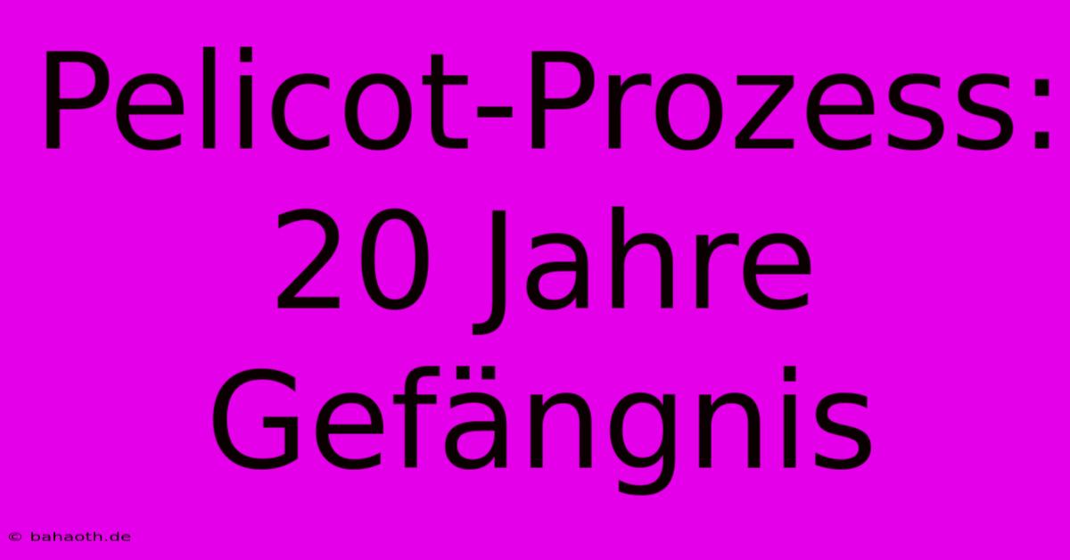 Pelicot-Prozess: 20 Jahre Gefängnis