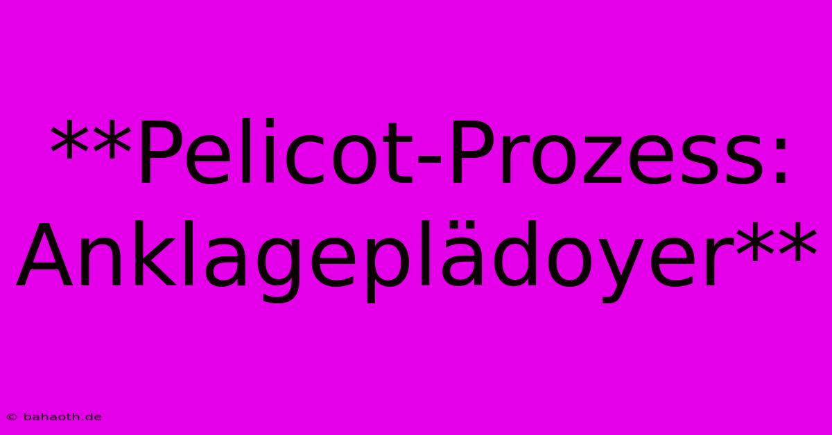 **Pelicot-Prozess: Anklageplädoyer**