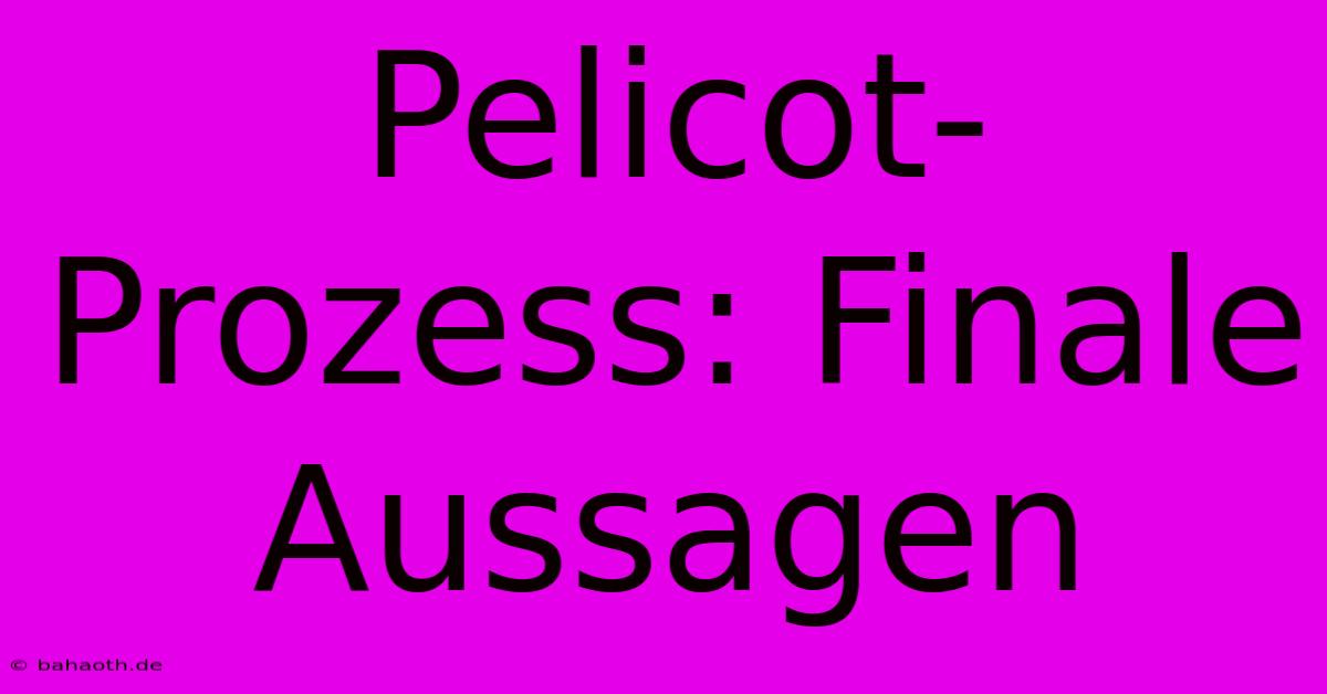 Pelicot-Prozess: Finale Aussagen