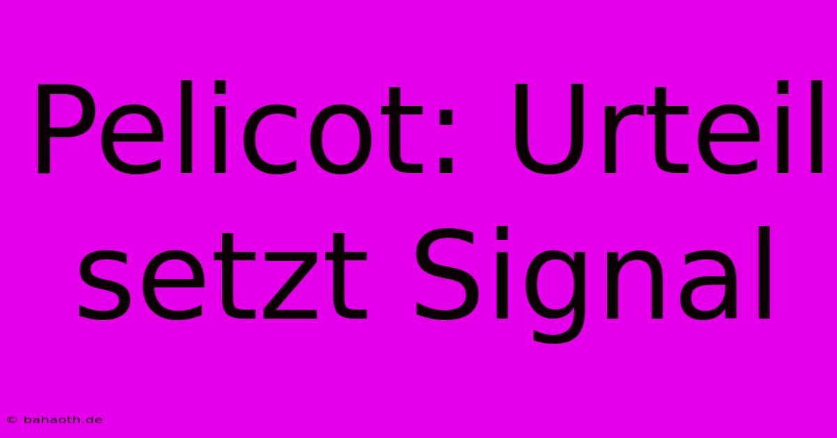 Pelicot: Urteil Setzt Signal