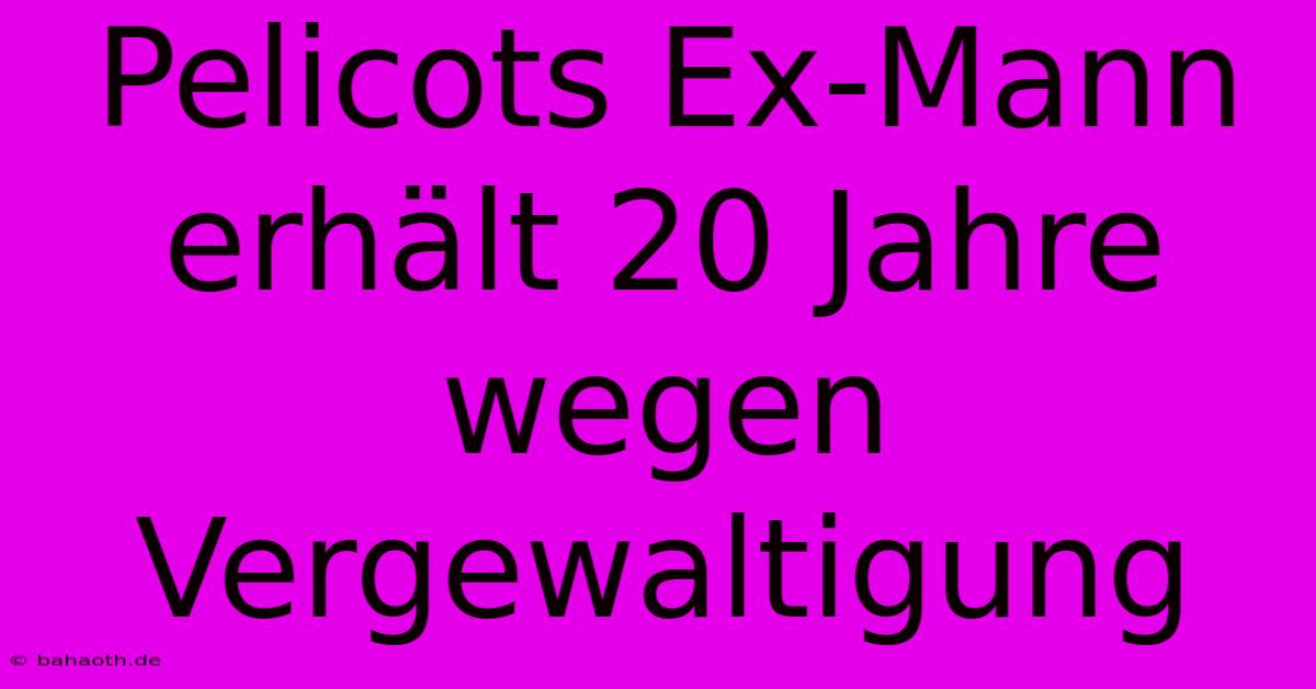 Pelicots Ex-Mann Erhält 20 Jahre Wegen Vergewaltigung