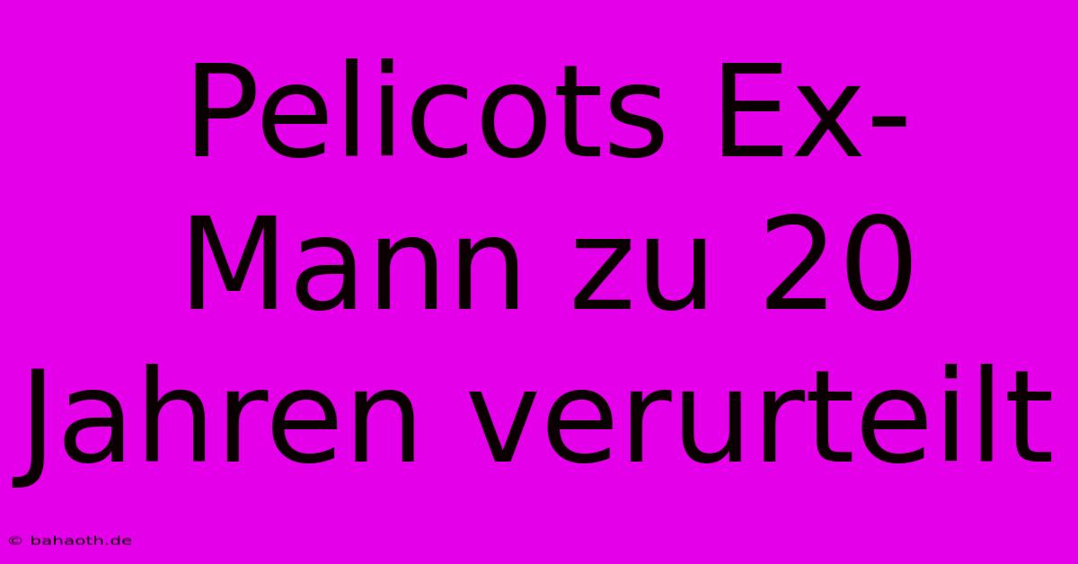 Pelicots Ex-Mann Zu 20 Jahren Verurteilt