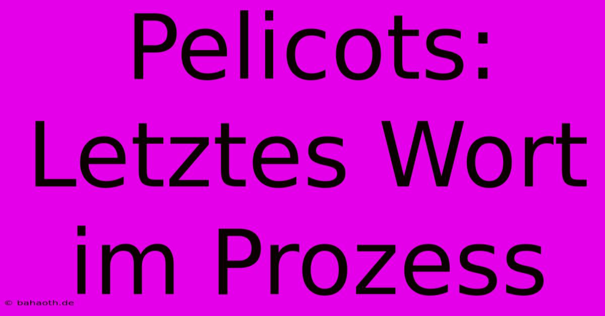 Pelicots: Letztes Wort Im Prozess