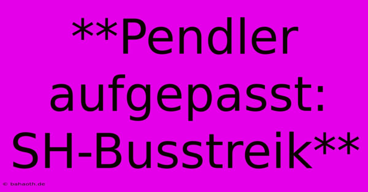 **Pendler Aufgepasst: SH-Busstreik**